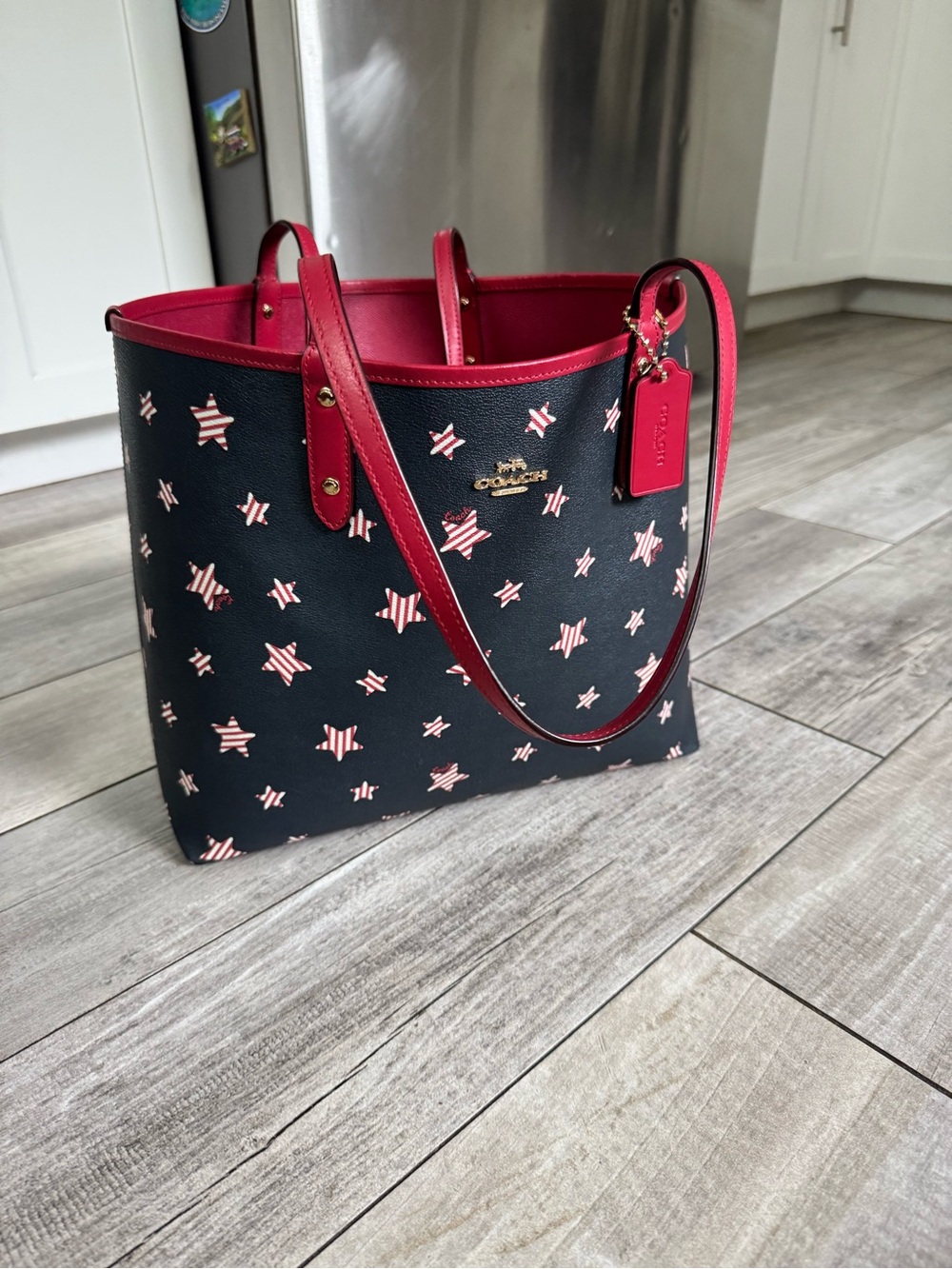 Coach American Stars print.